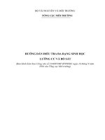 Hướng dẫn điều tra đa dạng sinh học  Nhóm Lưỡng cư bò sát