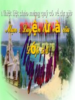 Luyen tu va cau On tap ve dau cau Dau cham chamhoi cham than