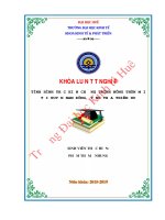 Tình hình thực hiện chương trình nông thôn mới trên địa bàn huyện nam đông tỉnh thừa thiên huế 