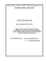 Luận văn thạc sĩ nghiên cứu bảo tồn loài thông pà cò (pinus kwangtungensis chun ex tsiang) và thông đỏ bắc (taxus chinensis (pilg ) rehder) tại khu bảo tồn thiên nhiên pù luông, tỉnh thanh hóa​ 
