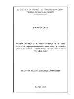 Luận văn thạc sĩ nghiên cứu một số đặc điểm sinh học của rắn hổ mang chúa ophiophagus hannah (cantor, 1836) trong điều kiện nuôi nhốt tại xã vĩnh sơn, huyện vĩnh tường, tỉnh vĩnh phúc​ 