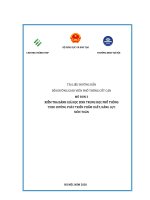 Tài liệu hướng dẫn bồi dưỡng giáo viên phổ thông cốt cán - Mô đun 3: Kiểm tra đánh giá học sinh trung học phổ thông theo hướng phát triển phẩm chất, năng lực môn Toán