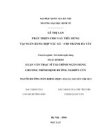 Phát triển cho vay tiêu dùng tại ngân hàng hợp tác xã chi nhánh hà tây 