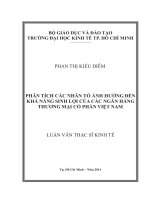 Luận văn Thạc sĩ Kinh tế: Các nhân tố ảnh hưởng đến khả năng sinh lợi của các Ngân hàng thương mại cổ phần tại Việt Nam