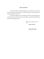 Luận văn thạc sĩ đánh giá sinh trưởng của một số loài cây trồng nguyên liệu giấy tại công ty lâm nghiệp đoan hùng huyện đoan hùng, tỉnh phú thọ​ 