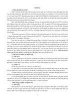 Hiệu quả đầu tư công ở một số nước đông á và bài học cho việt nam TT 