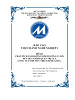 PHÂN TÍCH ẢNH HƯỞNG MÔI TRƯỜNG VI MÔ ĐẾN QUÁ TRÌNH QUẢN TRỊ CỦA CÔNG TY TNHH MTV THIẾT BỊ MÊ KÔNG