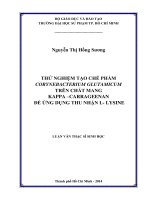 Thử nghiệm tạo chế phẩm Corynebacterium Glutamicum trên chất mang Kappa–Carrageenan