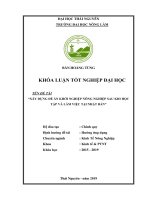 Xây dựng đề án khởi nghiệp nông nghiệp sau khi học tập và làm việc tại nhật bản 