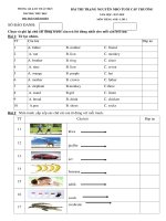 Đề thi Trạng Nguyên Tiếng Anh lớp 2 năm 2017-2018 - Trường TH Thị Trấn Diêm Điền