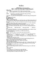 giao an hoat dong NGLL