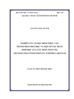 Nghiên cứu về đặc điểm thực vật, thành phần hoá học và một số tác dụng sinh học của cây nhân trần tía adenosma bracteosum bonati  scrophulariaceae 