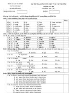 Đề thi Trạng Nguyên Tiếng Anh lớp 3 năm 2017-2018 - Trường TH Thị Trấn Diêm Điền