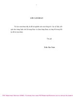 Luận văn Thạc sĩ Khoa học nông nghiệp: Nghiên cứu một số quy luật cấu trúc và sinh trưởng làm cơ sở xác định trữ sản lượng Cao su (Hevea brasiliensis Mull Arg.) tại Nông trường