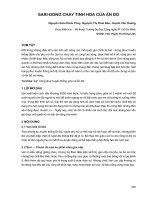 Sari-dòng chảy tinh hoa của Ấn Độ