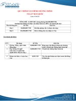 quy trình tài chính visa e7 up30 06 2021