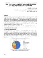 Phân tích định tính việc áp dụng mô hình agile vào quy trình phát triển phần mềm