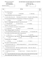 Đề thi Trạng Nguyên Tiếng Việt lớp 3 năm 2017-2018 - Trường TH Thị Trấn Diêm Điền