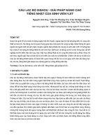 Câu lạc bộ Isshou - giải pháp nâng cao tiếng Nhật của sinh viên VJIT