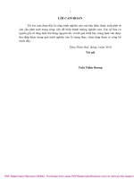 Luận văn Thạc sĩ Lâm nghiệp: Nghiên cứu hiện trạng và đề xuất các giải pháp bảo tồn và phát triển cây Bòn bon (Lausium domestium Corr.)