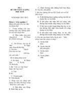 bo de thi cuoi nam lop 6 co dap an