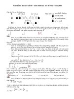 GIAI CHI TIET DE THI DAI HOC MON SINH NAM 2010