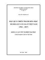 Hậu quả chiến tranh hóa học do hoa kỳ gây ra ở việt nam (1961   2017) 