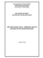 BÁO CÁO BÀI TẬP NHÓM MÔN ĐẠO ĐỨC TRONG KINH DOANHTp.HCM, 11/2015GIỚI THIỆU NGÀNH: SALES – MARKETING, BÁO CHÍ, HẢI QUAN VÀ CÁC VẤN ĐỀ VỀ ĐẠO ĐỨC