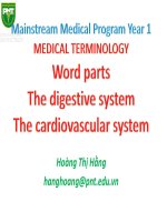 hoangthihang khoa học cơ bản BMNN medicalterm digest cardio hoàng thị hằng SVY1 chính quy 