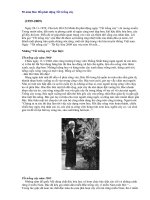 50 nam Bac Ho phat dong Tet trong cay