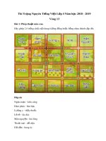 Đề thi Trạng Nguyên Tiếng Việt lớp 4 năm 2018-2019 -  Vòng 13