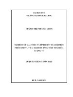 Nghiên cứu cấu trúc và tính chất của hệ phức nhóm 13 diyl và 14 ylidone bằng tính toán hóa lượng tử 