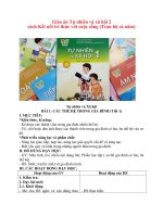 Giáo án tự nhiên và xã hội 2 sách kết nối tri thức với cuộc sống (trọn bộ cả năm)