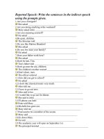 BT Reported Speechdoc