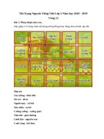 Đề thi Trạng Nguyên Tiếng Việt lớp 5 năm 2018-2019 - Vòng 13