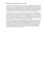 PHE PHAN CAN BENH HINH THUC CHU NGHIA