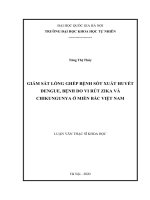 Giám sát lồng ghép bệnh sốt xuất huyết dengue, bệnh do vi rút zika và chikungunya ở miền bắc việt nam 