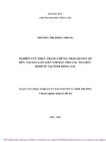 Luận văn Thạc sĩ Quản lý tài nguyên môi trường: Nghiên cứu thực trạng chứng nhận quyền sở hữu tài sản gắn liền với đất cho các tổ chức kinh tế tại tỉnh Đồng Nai