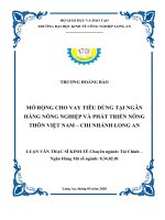Luận văn thạc sĩ mở rộng cho vay tiêu dùng tại ngân hàng nông nghiệp và phát triển nông thôn việt nam   chi nhánh huyện long an 