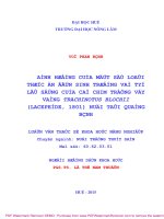 Luận văn Thạc sĩ Khoa học Nông nghiệp: Ảnh hưởng của một số loại thức ăn đến sinh trưởng và tỷ lệ sống của cá chim trắng vây vàng Trachinotus blochii (Lacepède, 1801) nuôi tại