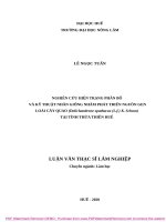 Nghiên cứu hiện trạng phân bố và kỹ thuật nhân giống phát triển nguồn gen loài cây quao (dolichandrone spathacea (l f ) k  schum) tại tỉnh thừa thiên huế 