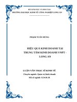 Luận văn thạc sĩ hiệu quả kinh doanh tại trung tâm kinh doanh VNPT   long an 