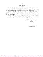 Nghiên cứu hiện trạng và đề xuất quy hoạch phục hồi rừng phòng hộ ven biển tỉnh quảng nam 