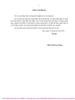 Luận văn Thạc sĩ Kiểm soát và Bảo vệ môi trường: Đánh giá thực trạng quản lý và sử dụng đất nghĩa trang, nghĩa địa tại thành phố Huế