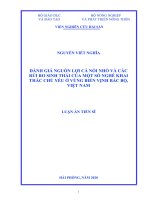 NVN thesis - final -8.2020 print 1