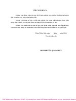 Luận văn Thạc sĩ Kiểm soát và Bảo vệ môi trường: Xây dựng mô hình 3D phục vụ quản lý đất đô thị tại phường Lộc Thọ, thành phố Nha Trang