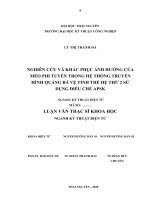 Nghiên cứu và khắc phục ảnh hưởng củ méo phi tuyến trong hệ thống truyền hình quảng bá vệ tinh thế hệ thứ 2 sử dụng điều chế APSK 