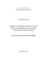 Nghiên cứu đặc điểm sinh thái và nhân giống cây đinh mật (fernandoa brilletii) bằng phương pháp giâm hom 