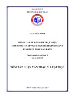 PHÁP LUẬT về bảo đảm THỰC HIỆN hợp ĐỒNG tín DỤNG có mục ĐÍCH KINH DOANH BẰNG BIỆN PHÁP bảo LÃNH 