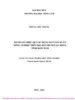Đánh giá hiệu quả sử dụng đất sản xuất nông nghiệp trên địa bàn huyện sa thầy, tỉnh kon tum 